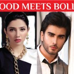 The Top 4 Pakistani Actors in Bollywood