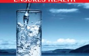 Do You Really Know The Importance Of Water For Health? Check These 7 Benefits Of Drinking Water!